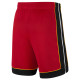 Jordan Ανδρικό σορτς Miami Heat NBA Statement Edition Dri-FIT Swingman Shorts